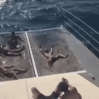 Acid Gifdump, August 29, 2018 (25 gifs)