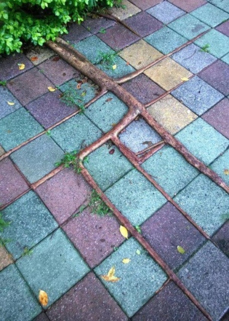 Is It Even Possible? (15 pics)