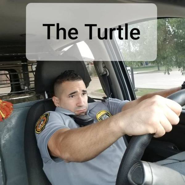 How People Look When Trying To Hide The Fact Of Not Wearing A Seatbelt (11 pics)