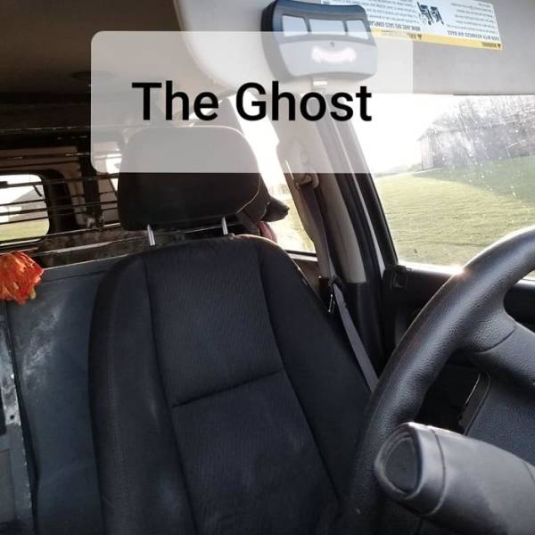 How People Look When Trying To Hide The Fact Of Not Wearing A Seatbelt (11 pics)