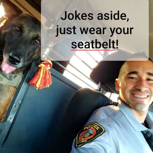 How People Look When Trying To Hide The Fact Of Not Wearing A Seatbelt (11 pics)
