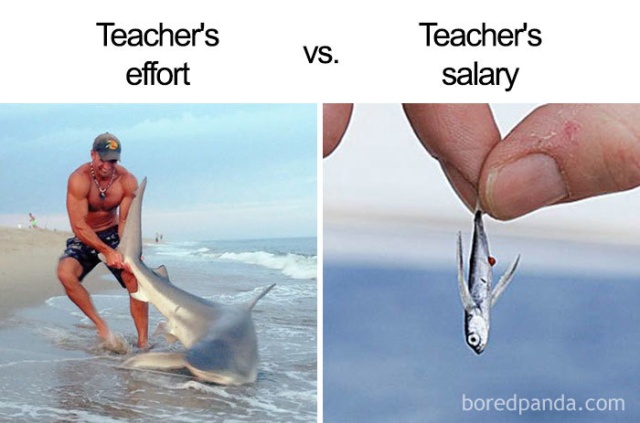 Teacher Memes (34 pics)