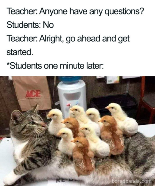 Teacher Memes (34 pics)