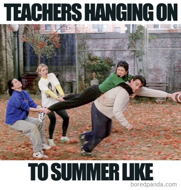 Teacher Memes (34 pics)