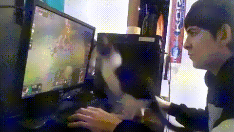 Acid Gifdump, August 30, 2018 (25 gifs)