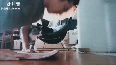 Acid Gifdump, August 30, 2018 (25 gifs)