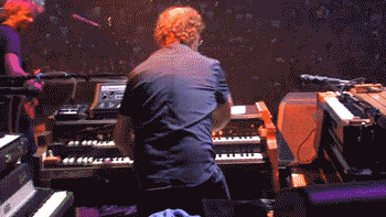 Acid Gifdump, August 30, 2018 (25 gifs)