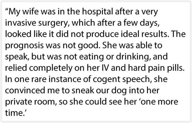 Husband Sneaks Dog Into Hospital In A Suitcase So His Dying Wife Can Say Goodbye (6 pics)