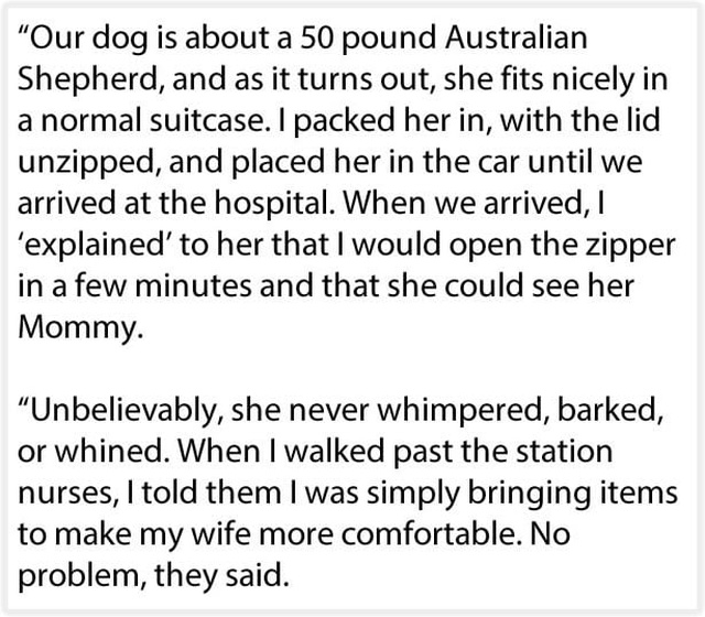 Husband Sneaks Dog Into Hospital In A Suitcase So His Dying Wife Can Say Goodbye (6 pics)