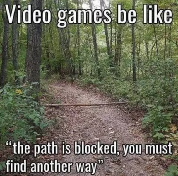 Pictures For Gamers (60 pics)