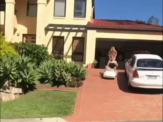 Acid Gifdump, August 31, 2018 (25 gifs)