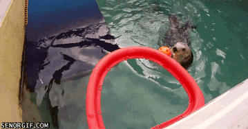 Acid Gifdump, August 31, 2018 (25 gifs)