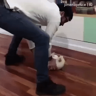 Acid Gifdump, August 31, 2018 (25 gifs)