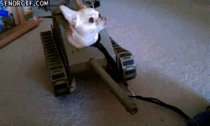 Acid Gifdump, August 31, 2018 (25 gifs)