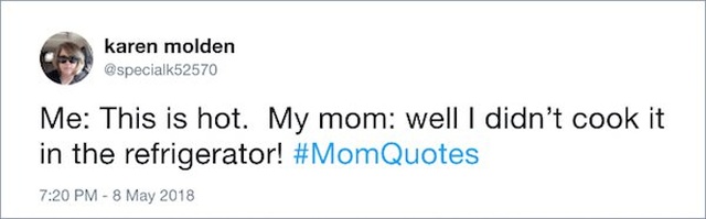 Funny Mom Quotes (17 pics)