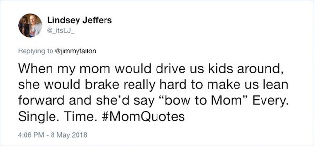 Funny Mom Quotes (17 pics)
