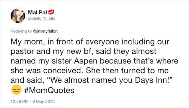 Funny Mom Quotes (17 pics)