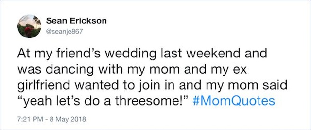 Funny Mom Quotes (17 pics)