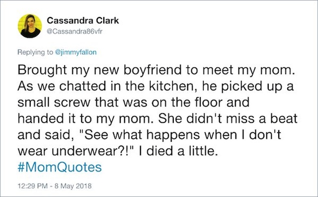 Funny Mom Quotes (17 pics)