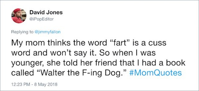 Funny Mom Quotes (17 pics)