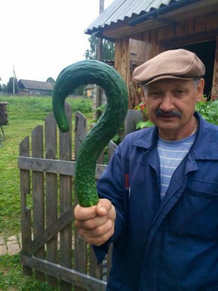 Acid Picdump (125 pics)