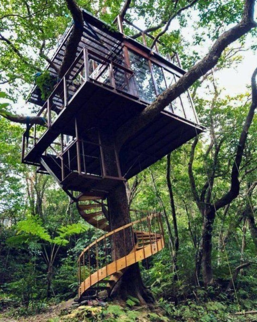 Acid Picdump (125 pics)