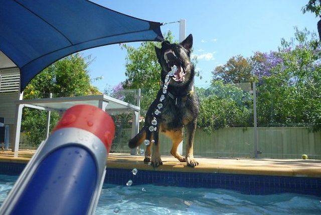 Acid Picdump (125 pics)