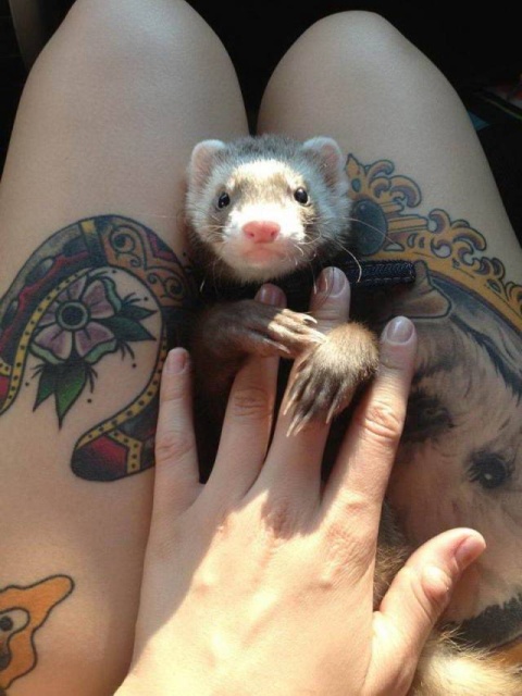 Acid Picdump (125 pics)