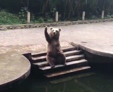 Acid Gifdump, September 03, 2018 (25 gifs)