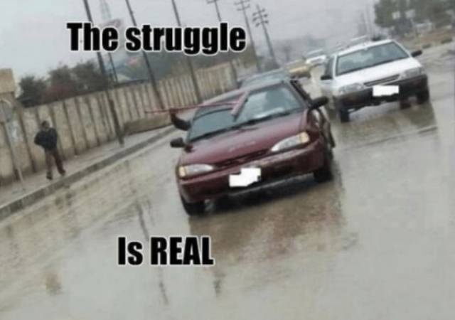 Life Is A Struggle (22 pics)