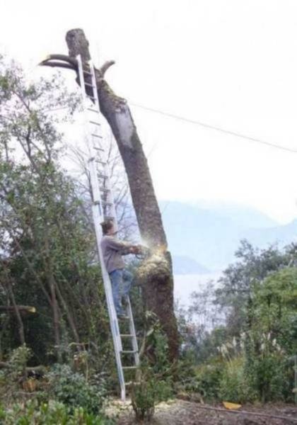 Stupid And Dangerous Situations  (22 pics)