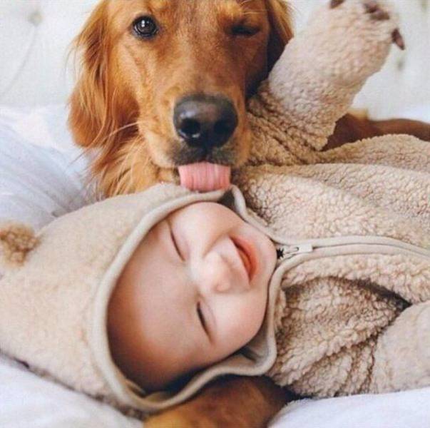 When A Picture Says More Than Just A Thousand Words (56 pics)