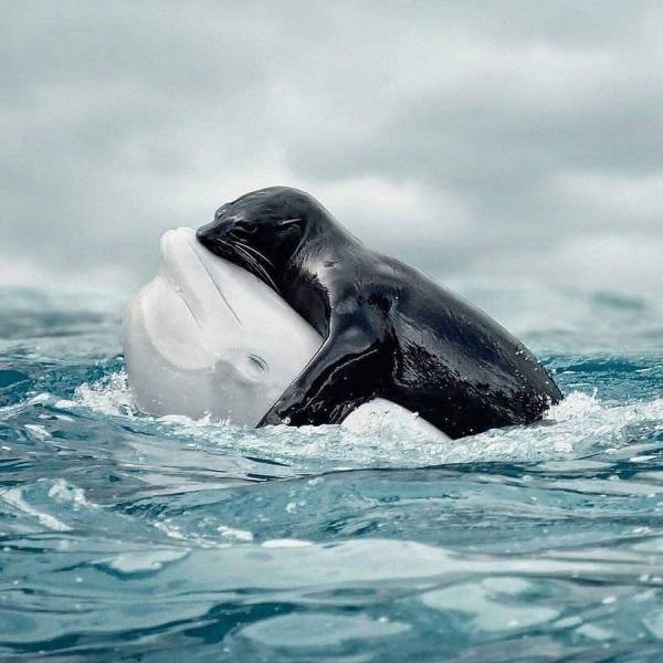 When A Picture Says More Than Just A Thousand Words (56 pics)