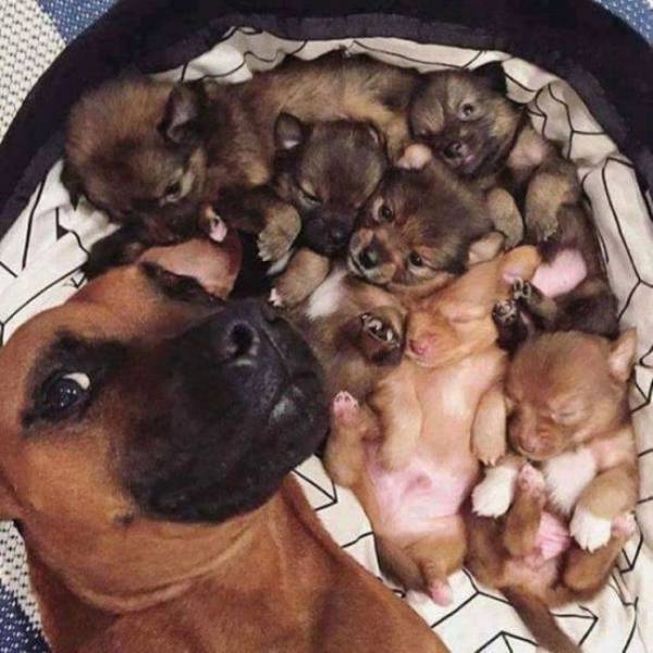 When A Picture Says More Than Just A Thousand Words (56 pics)
