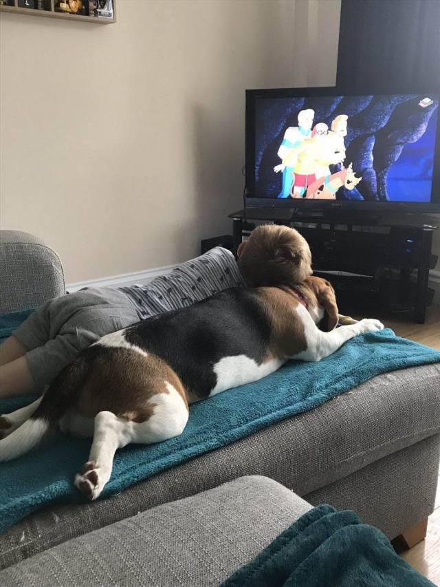 When A Picture Says More Than Just A Thousand Words (56 pics)