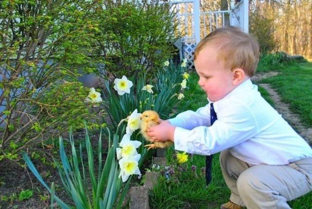 When A Picture Says More Than Just A Thousand Words (56 pics)