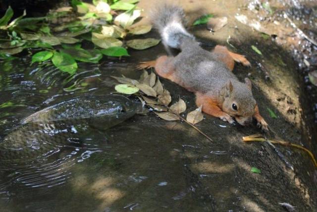 When A Picture Says More Than Just A Thousand Words (56 pics)