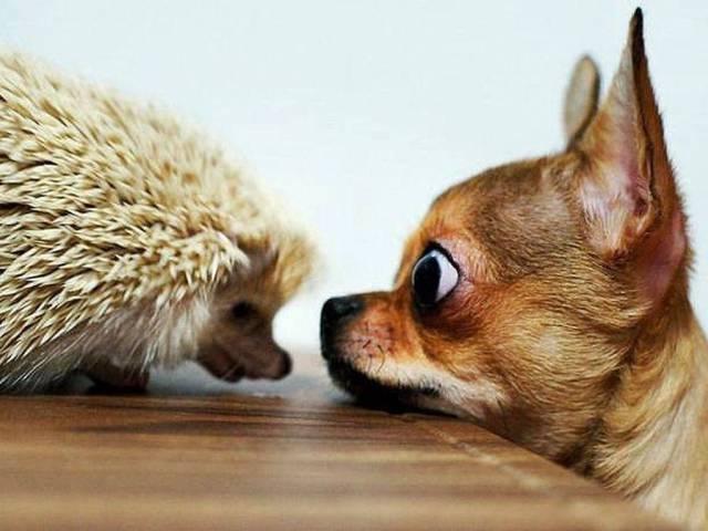 When A Picture Says More Than Just A Thousand Words (56 pics)