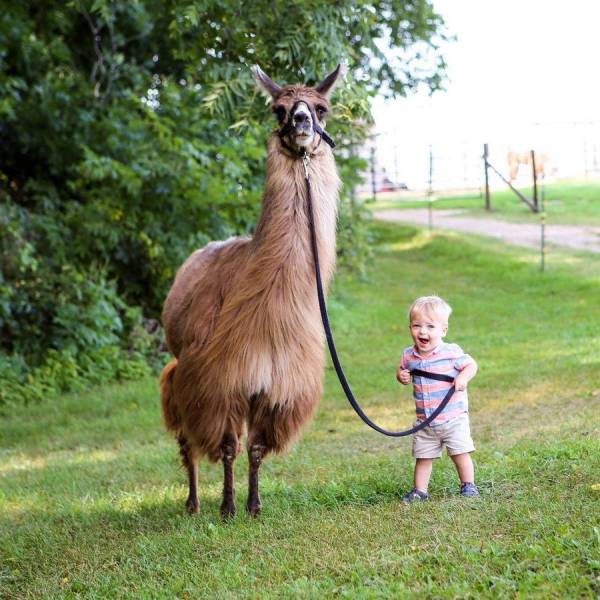 When A Picture Says More Than Just A Thousand Words (56 pics)