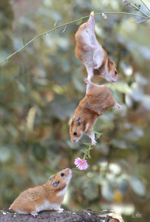 When A Picture Says More Than Just A Thousand Words (56 pics)