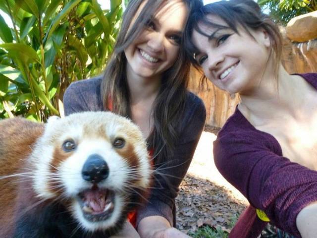 When A Picture Says More Than Just A Thousand Words (56 pics)