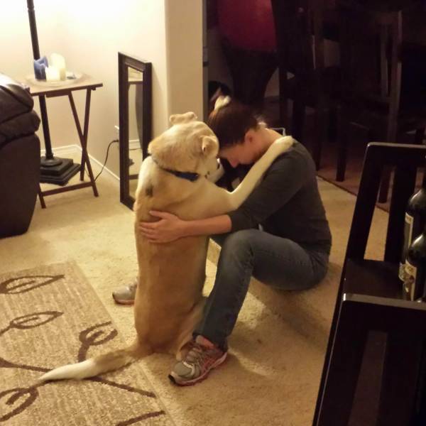 When A Picture Says More Than Just A Thousand Words (56 pics)