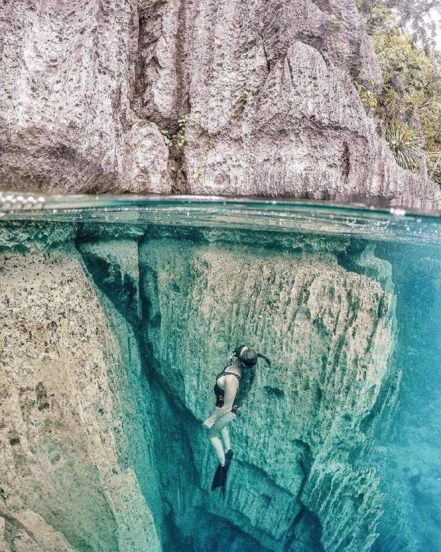 When A Picture Says More Than Just A Thousand Words (56 pics)