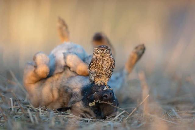 When A Picture Says More Than Just A Thousand Words (56 pics)