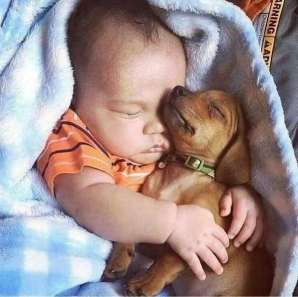 When A Picture Says More Than Just A Thousand Words (56 pics)