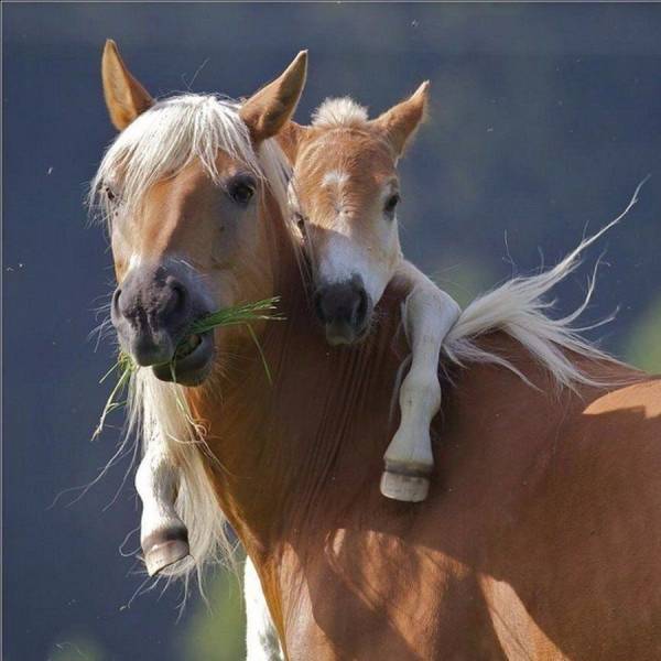 When A Picture Says More Than Just A Thousand Words (56 pics)