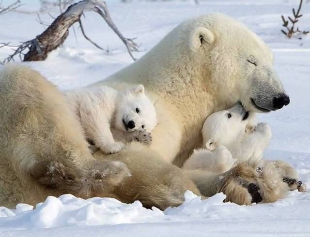 When A Picture Says More Than Just A Thousand Words (56 pics)