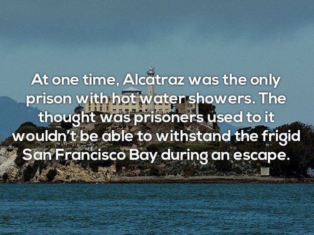 Interesting Facts (24 pics)