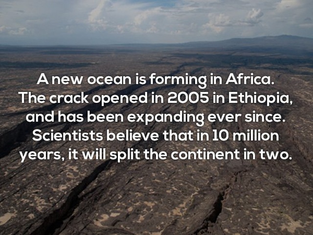 Interesting Facts (24 pics)