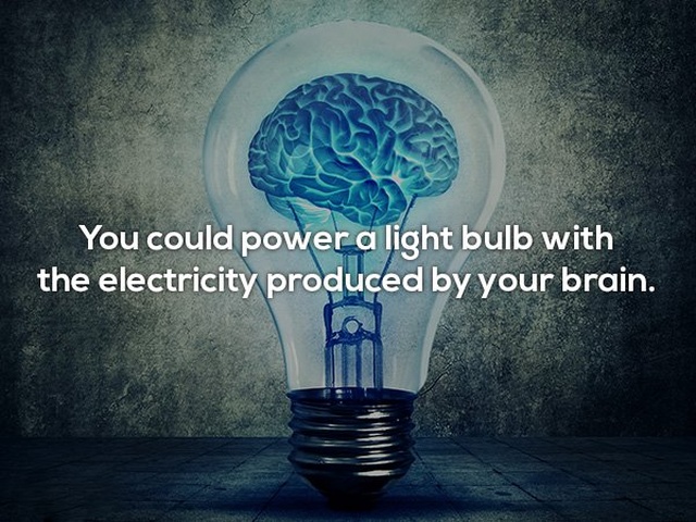 Interesting Facts (24 pics)